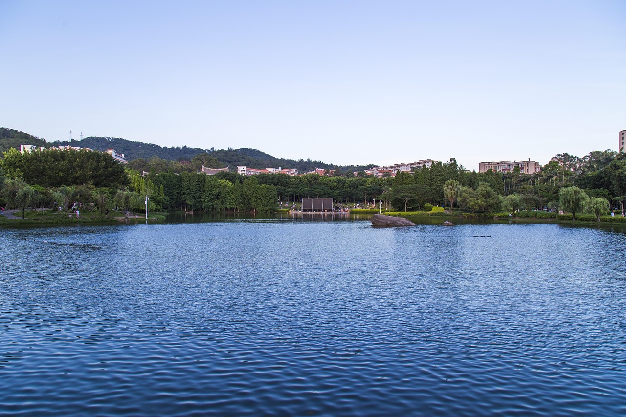 厦门大学委培生〃厦门大学委培生报考条件