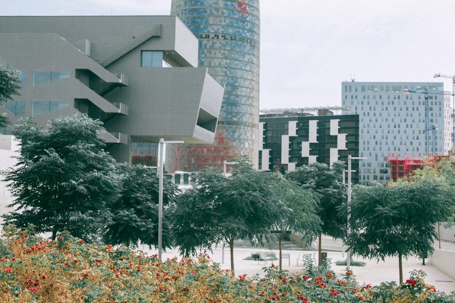 山东省菏泽市牡丹区大学路2269号.山东省菏泽市牡丹区大学路2269号邮政编码