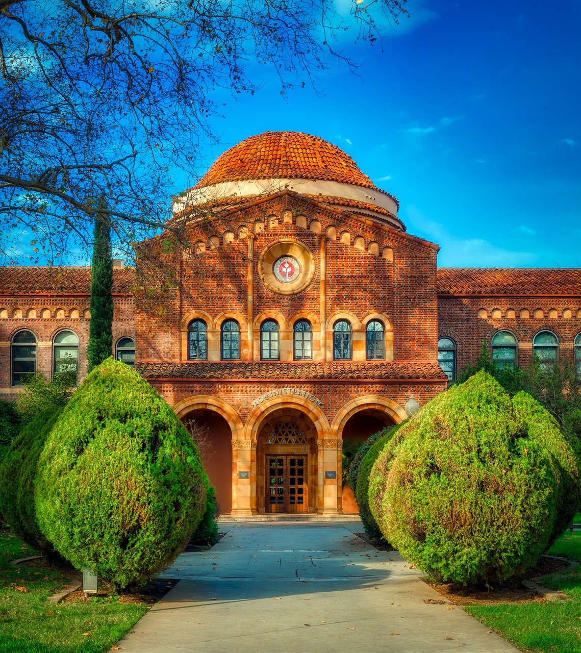 “贸易类的大学	” 贸易专业就业方向？
