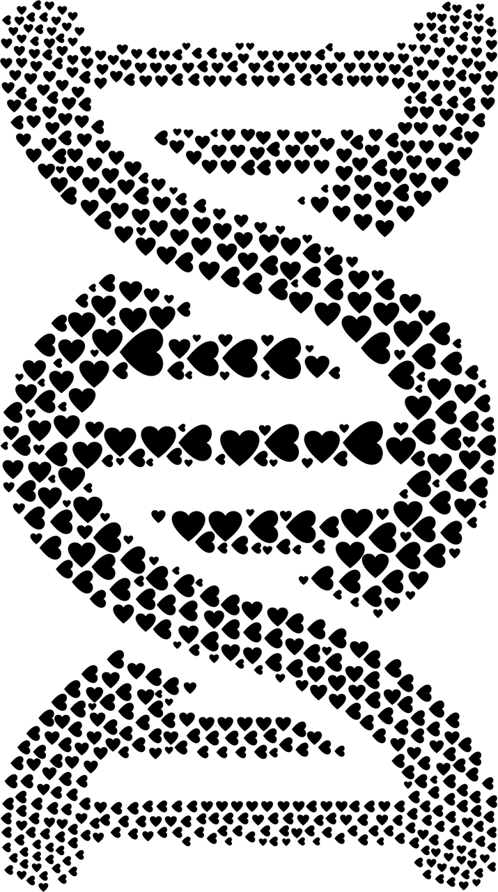 【北京核酸/北京核酸检测公司】