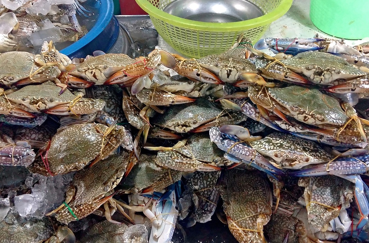 三亚海鲜加工店三亚海鲜市场推荐什么？,三亚海鲜自己买找加工划算 还是自助好
